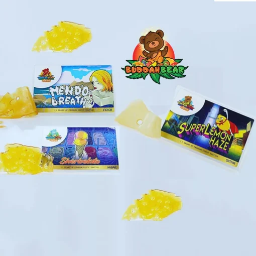 Buddah Bear Shatter